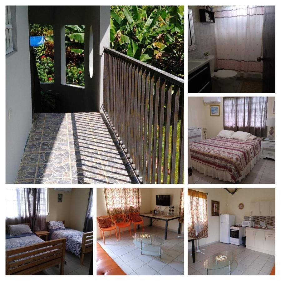 Casa De Campo Rio Arriba Arecibo Ngoại thất bức ảnh