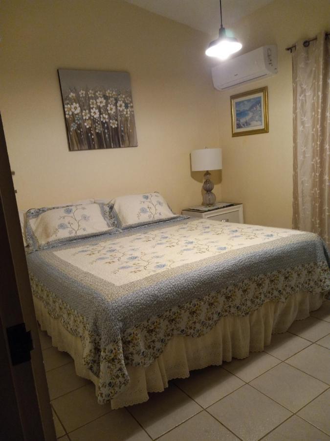Casa De Campo Rio Arriba Arecibo Ngoại thất bức ảnh