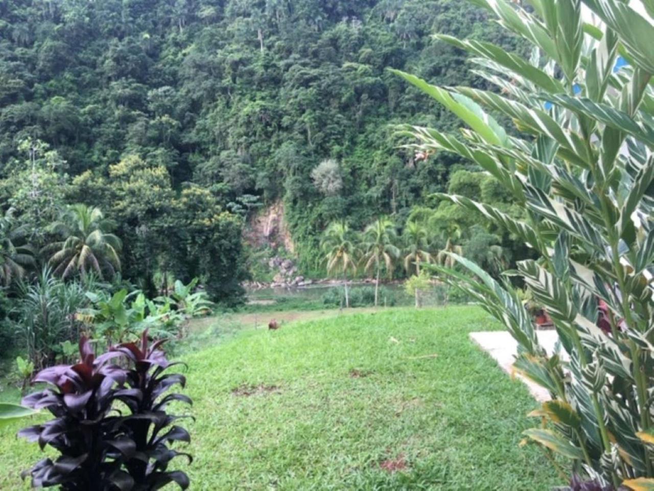 Casa De Campo Rio Arriba Arecibo Ngoại thất bức ảnh